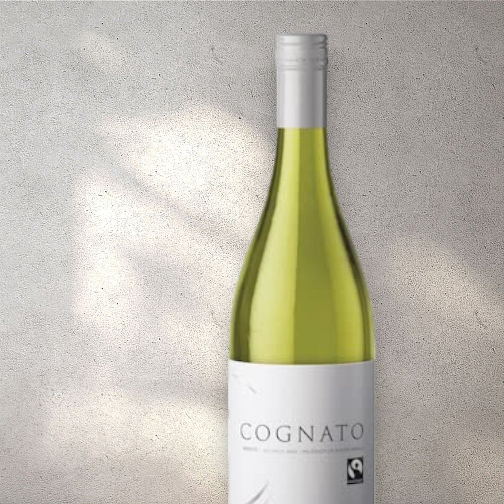 Closeup of a Cognato Chenin Blanc alcohol-free white wine bottle with a detailed label, set against a textured concrete wall, highlighting its refined design and light yellow colour.