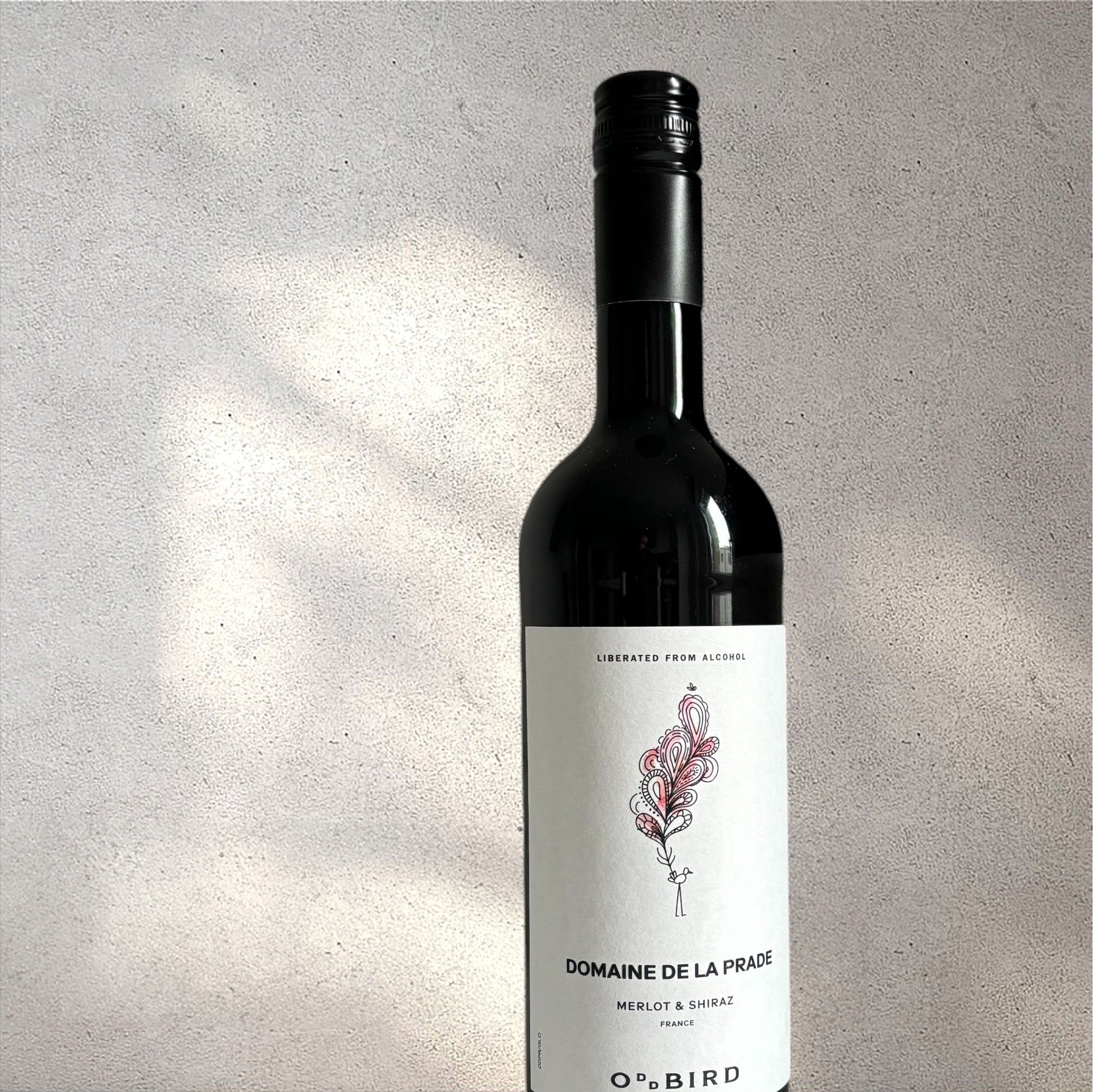 Closeup of an Oddbird Domaine De La Trade alcohol-free red wine bottle with a detailed label, set against a textured concrete wall, highlighting its refined design and deep red colour.