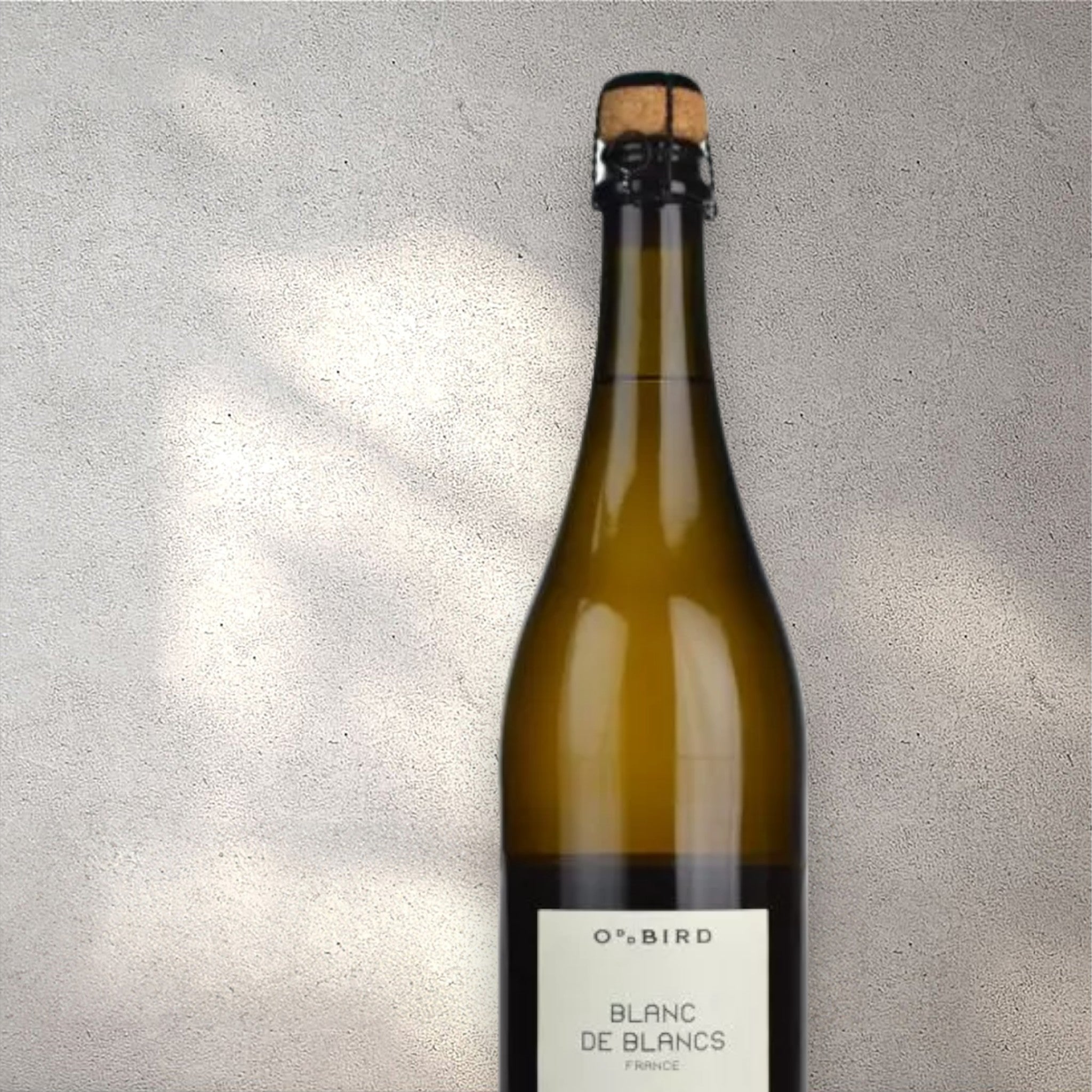 Closeup of an Oddbird alcohol-free sparkling wine bottle with a detailed label, set against a textured concrete wall, highlighting its refined design and clear, sparkling color.